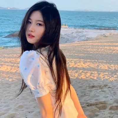 玫瑰骑士