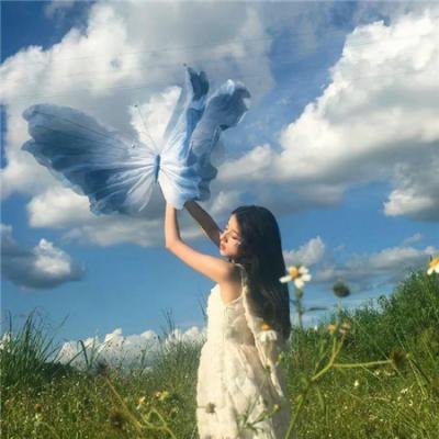 成群结伴！西顿学园